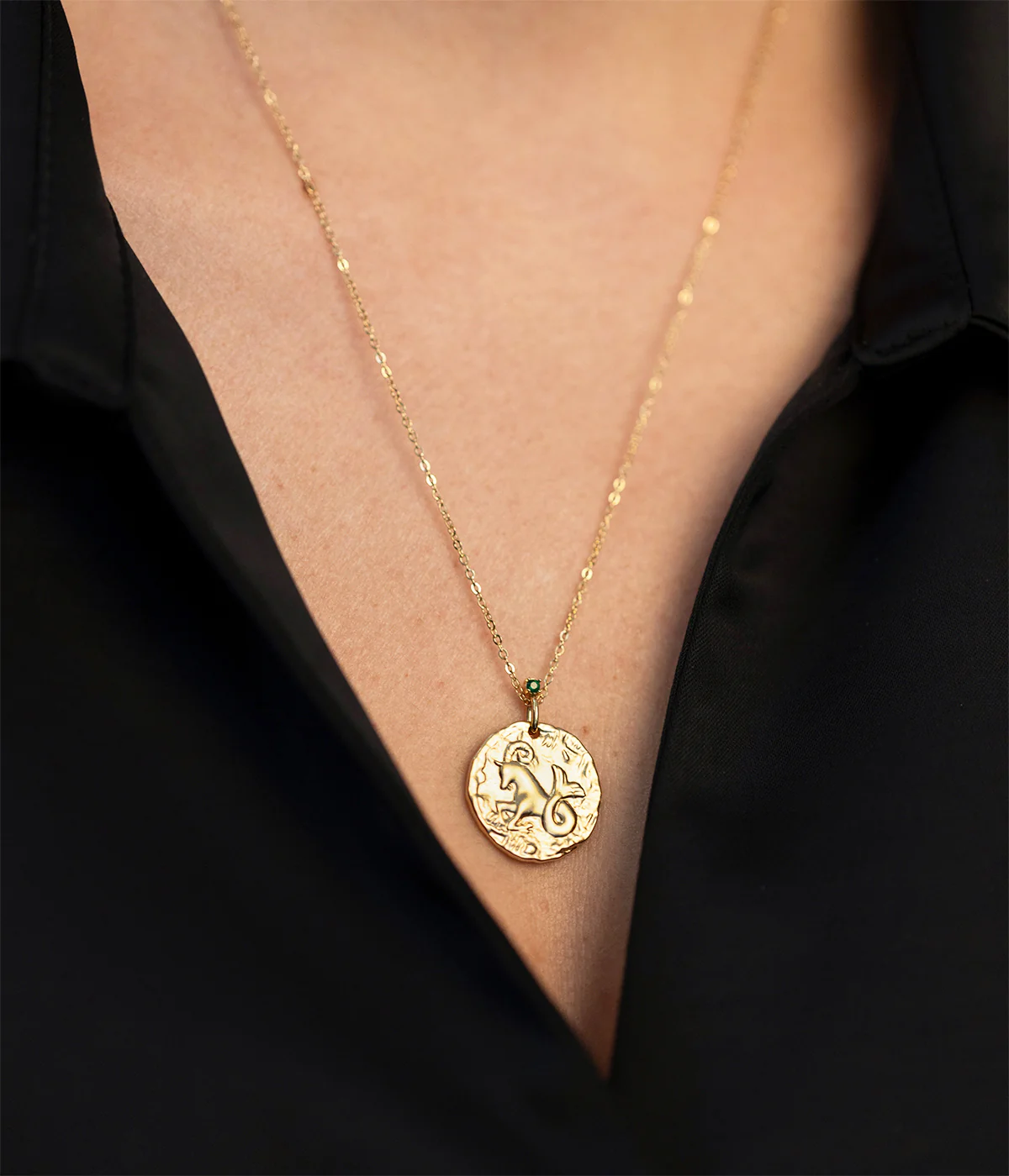 Collier Aigokereus (Acier doré) – Image 2